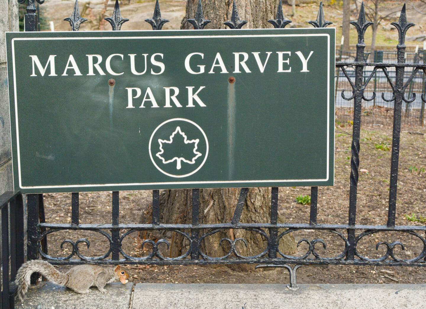 Marcus Garvey Park elmundoesunviaje