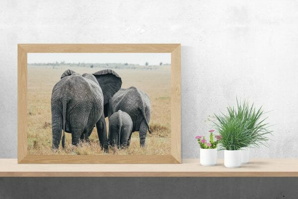 familia-de-elefantes.jpg